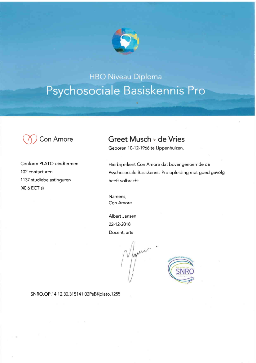 Diploma Psychosociale Basiskennis Pro